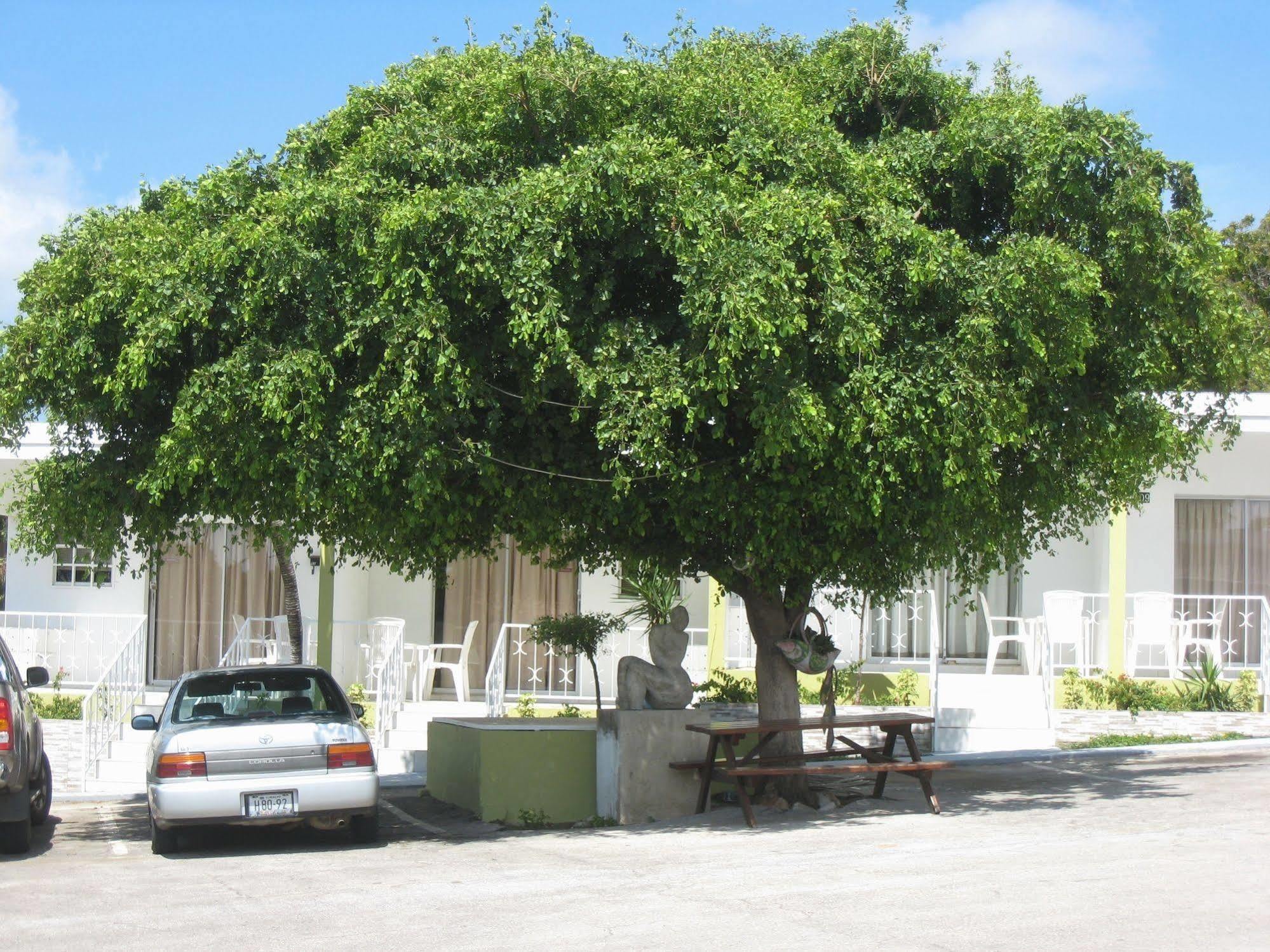 Alablanca Apartments Residents Inn Willemstad Exterior photo